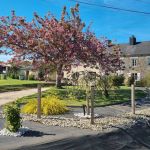 chambre-d-hotes - Le Marronnier - SURTAINVILLE - Manche