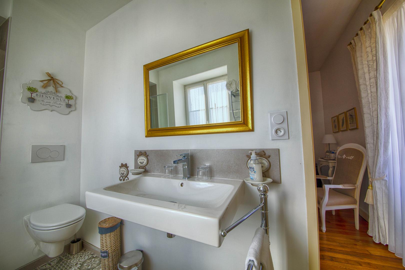 Salle de bain de la Suite de la Rose (douche) photo 16