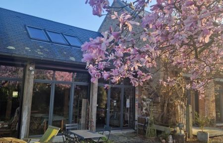 Chambre d'h&ocirc;tes n&deg;G33322 Saint-Sauveur-la-Pommeraye - Manche - Fa&ccedil;ade avec le magnolia