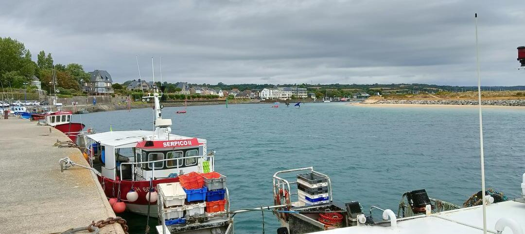 photo 24