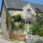 gite - Racine - TOURNEVILLE-SUR-MER - Manche
